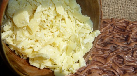 Beurre de cacao (Theobroma cacao)