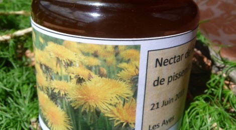 Le nectar de Fleurs de Pissenlits