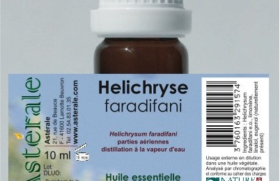Hélichryse Faradifani Helichrysum Faradifani