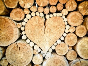 heart-1288420_960_720