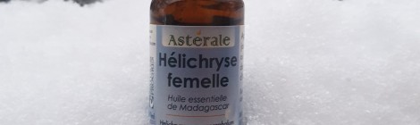Hélichryse Femelle  Helichrysum Gymnocephalum